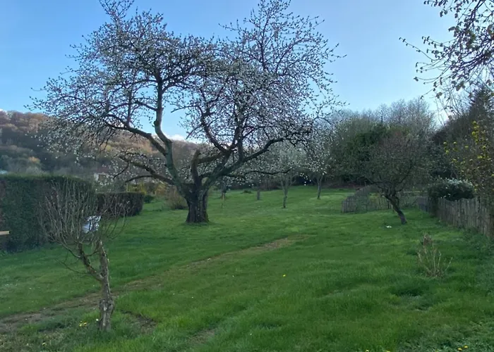Apartment Laurent & Anne Plesnois